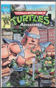 Teenage Mutant Ninja Turtles Adventures #3 (1988)