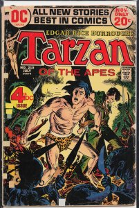 Edgar Rice Burroughs' Tarzan #210 (1972)