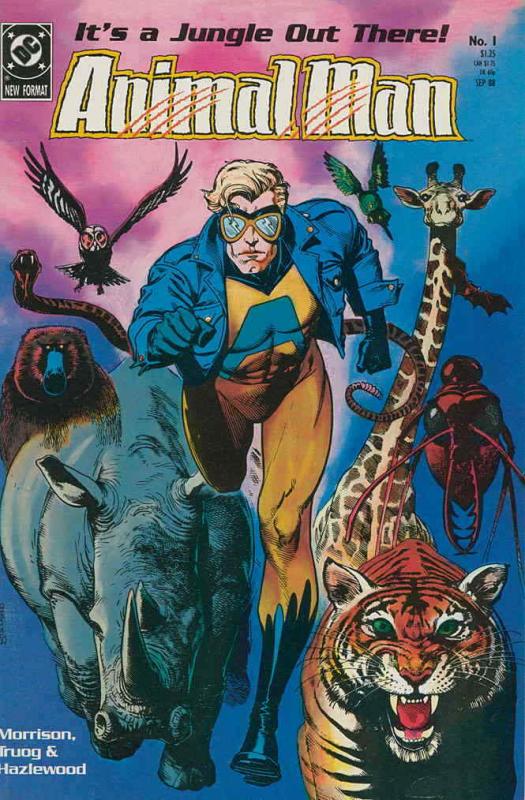 Animal Man #1 FN; DC | save on shipping - details inside