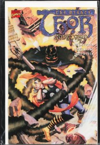 Thor: Godstorm #2 (2001) Thor