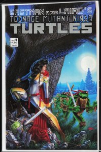 Teenage Mutant Ninja Turtles #13 (1988) [Key Issue]
