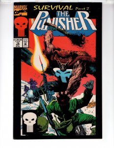 • The Punisher #78 (1993) / 0466-NSC•NCA2
