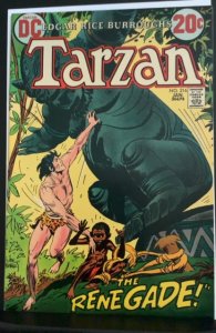 Tarzan #216 (1973)