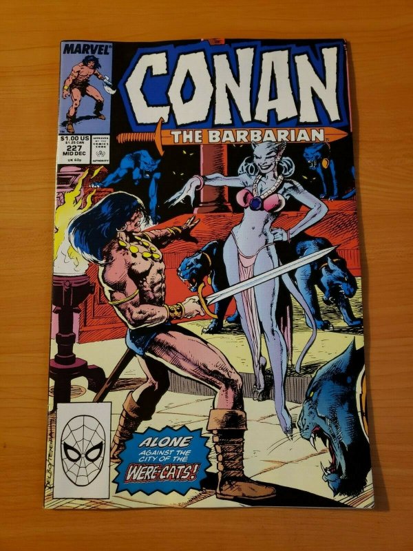 Conan The Barbarian #227 Direct Market Edition ~ NEAR MINT NM ~ 1989 Marvel