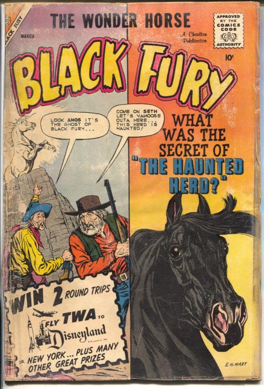 Black Fury  #23 1960-Charlton-horse stories-10¢ cover price-G