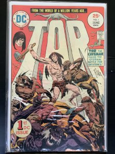 Tor #1 (1975)