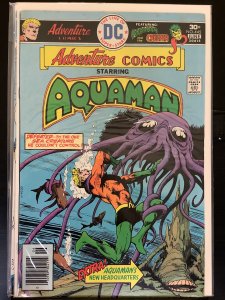 Adventure Comics #445  (1976)