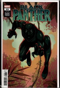 Black Panther #23 Souza Cover (2021)