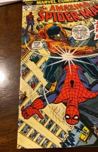 The Amazing Spider-Man #123 (1973)guest starring Powerman