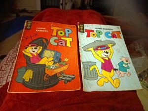 Top Cat Gold Key Comics 12 And 29 Bronze Age Cartoon Lot Run Set Collection