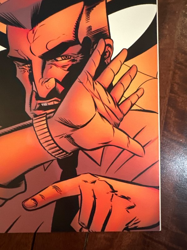 Spider-Man's Tangled Web #20 (2003)