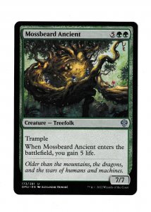 MOSSBEARD ANCIENT | UNCOMMON | DOMINARIA UNITED #173/281 | MTG 2022