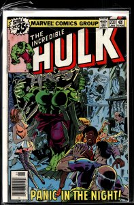 The Incredible Hulk #231 (1979) Hulk