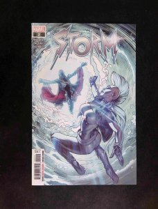 Storm #2  MARVEL Comics 2023 NM-
