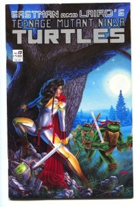 TEENAGE MUTANT NINJA TURTLES #13-1988-early issue VF