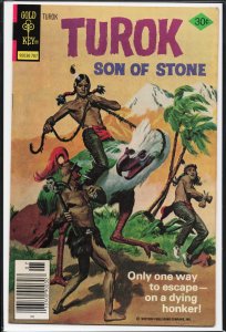 Turok, Son of Stone #110 (1977)