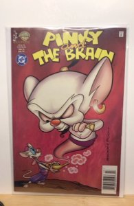 Pinky and the Brain #13 (1997)