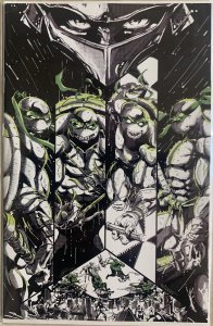 TEENAGE MUTANT NINJA TURTLES BLACK WHITE & GREEN  #1 | ESKIVO STASHHLOOT EXC.