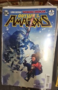 The Odyssey of the Amazons #1 Variant Cover (2017)