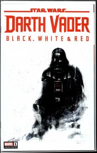 Star Wars: Darth Vader - Black, White & Red #1 Andrews Variant Cover (2023) D...
