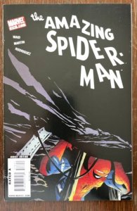 The Amazing Spider-Man #578 (2009)