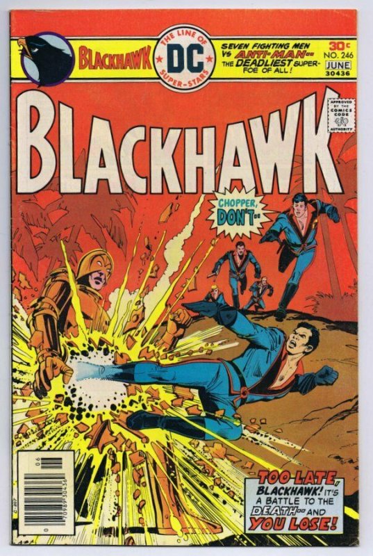 Blackhawk #246 ORIGINAL Vintage 1976 DC Comics 