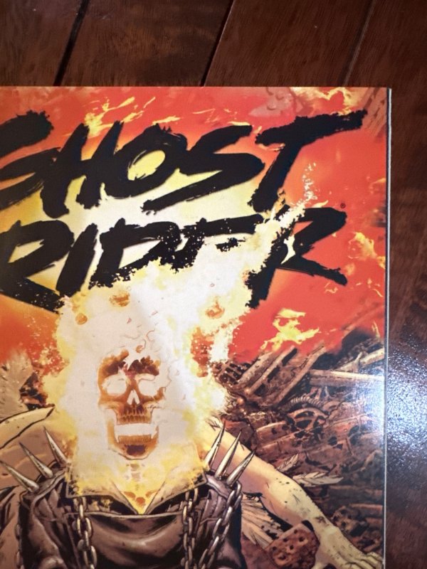 Ghost Rider #18 (2008)