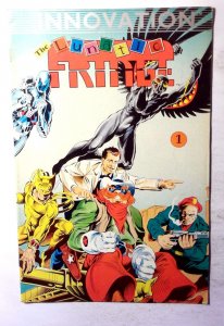 Lunatic Fringe #1 (1989) Innovation Comics 1st Print Comic Book