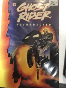 Ghost Rider Redirected (1991) Marvel TPB SC Howard Mackie