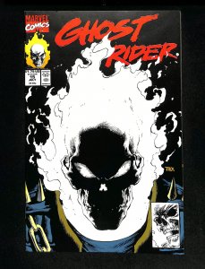 Ghost Rider (1990) #15 Glow in the Dark Cover!
