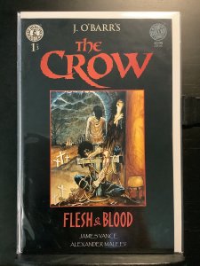 The Crow: Flesh and Blood #1 (1996)