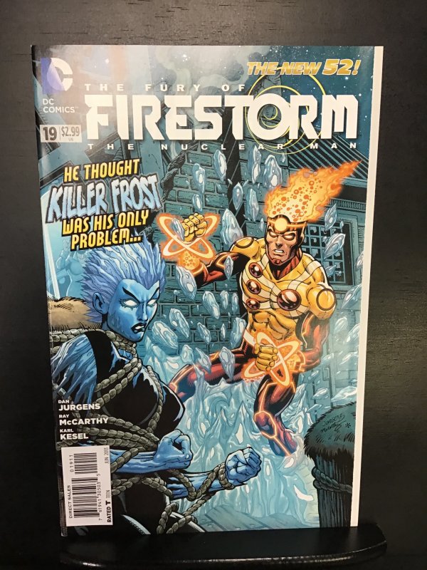 The Fury of Firestorm: The Nuclear Man #19 (2013)nm