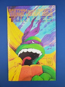 TMNT 22 VF+ 1988