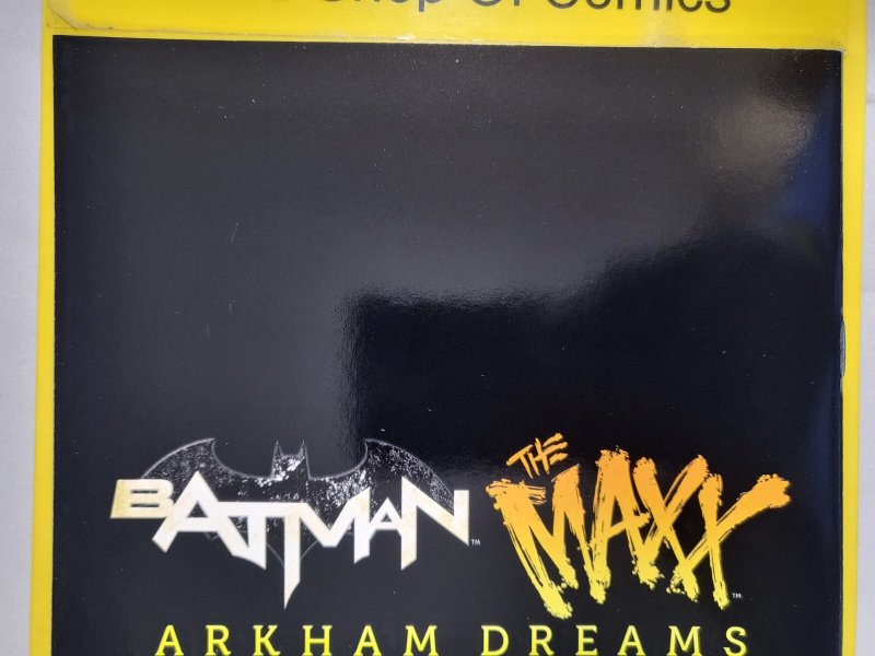 Batman The Maxx Arkham Dreams #3 Gabriel Rodriquez 1:10 Variant 2018 Sam Keith