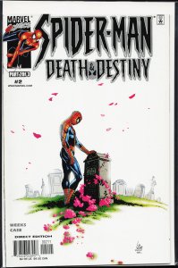 Spider-Man: Death and Destiny #2 (2000) Spider-Man