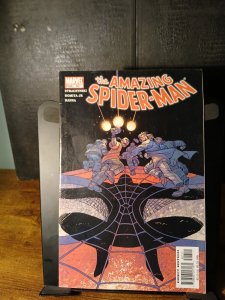 The Amazing Spider-Man #507 (2004)