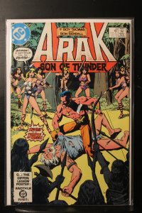 Arak, Son of Thunder #28 (1983)