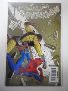 The Amazing Spider-Man #579 (2009)