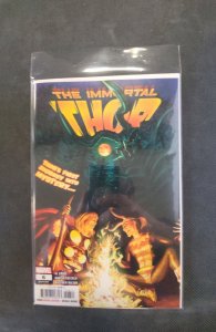 The Immortal Thor #6 (2024)