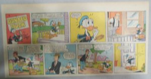 (37) Walt Disney's Donald Duck Sunday Pages from 1966 Size: ~7.5 x 15 inches