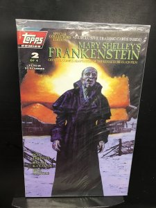 Mary Shelley's Frankenstein #2 Cover A (1994)