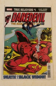 True Believers: Black Widow & Daredevil (2020)