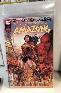 Trial of the Amazons #1 (2022)