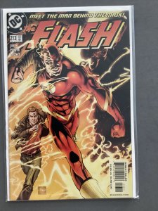 The Flash #213 (2004)