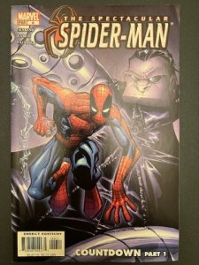 Spectacular Spider-Man #6 Direct Edition (2004) - MT
