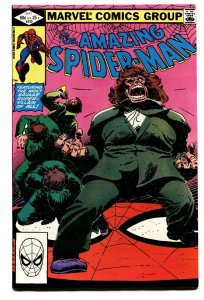 AMAZING SPIDER-MAN #232 comic book-1982-MARVEL-nm-