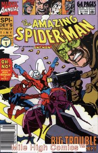 SPIDER-MAN ANNUAL (1964 Series)  (MARVEL) #24 NEWSSTAND Good Comics Book