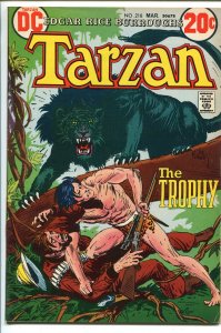Tarzan--#218--1973--COMIC BOOK--DC--VF-