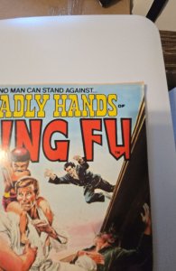 The Deadly Hands of Kung Fu #12 (1975)