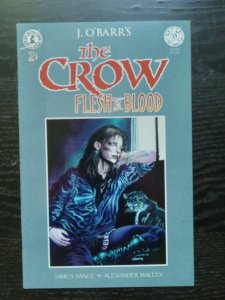 The Crow: Flesh and Blood #2 (1996)